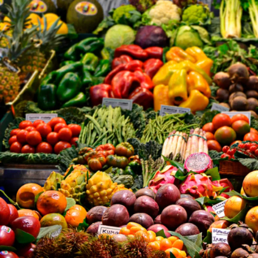 5 motivos para buscar um selo de certificação sustentável para seu produto