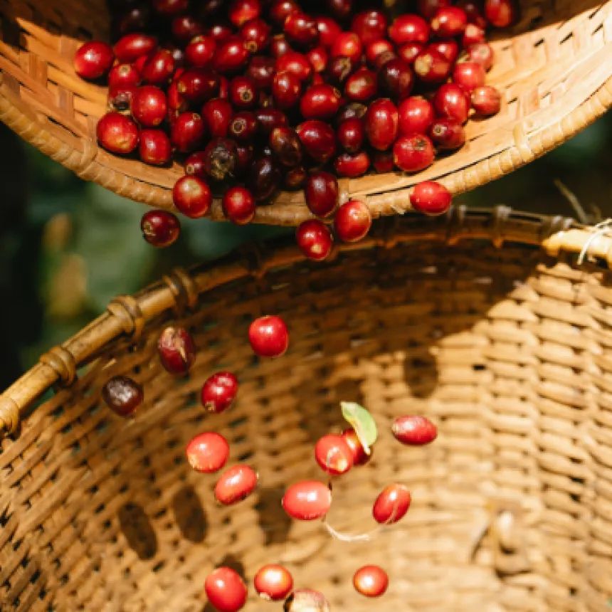 Entenda porque a sustentabilidade fará sua empresa largar na frente nos negócios