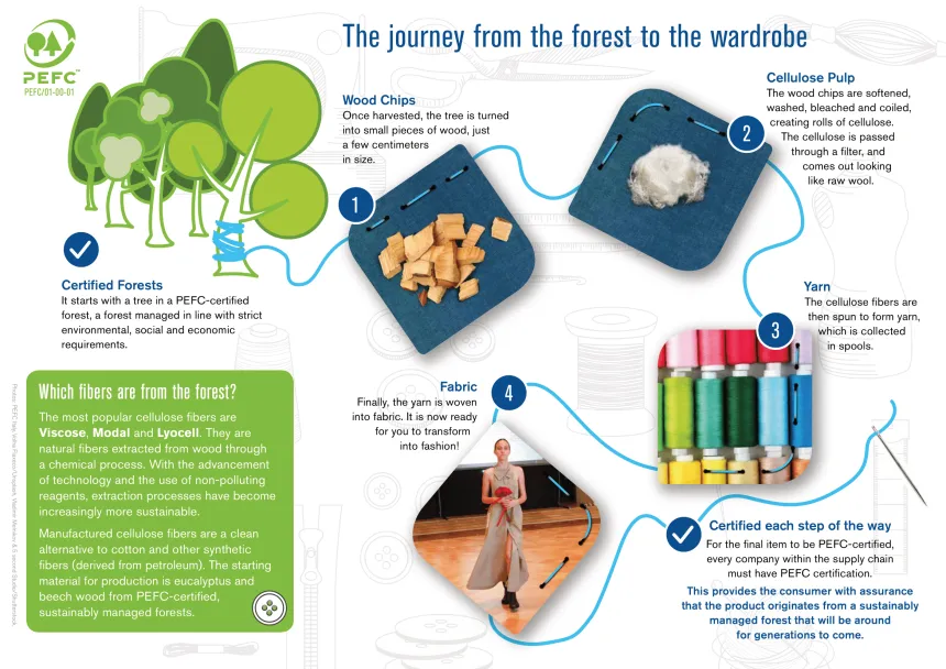 ZOOM ON // PEFC, a label for sustainable forest management