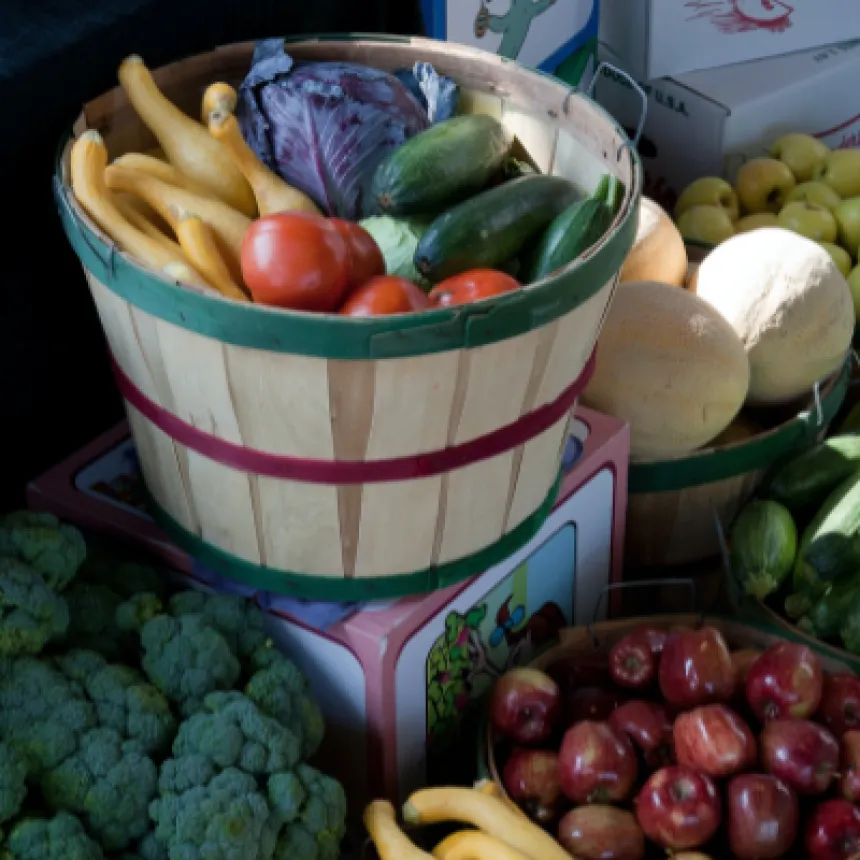 Assista ao webinar: agricultura regenerativa orgânica e o selo ROC