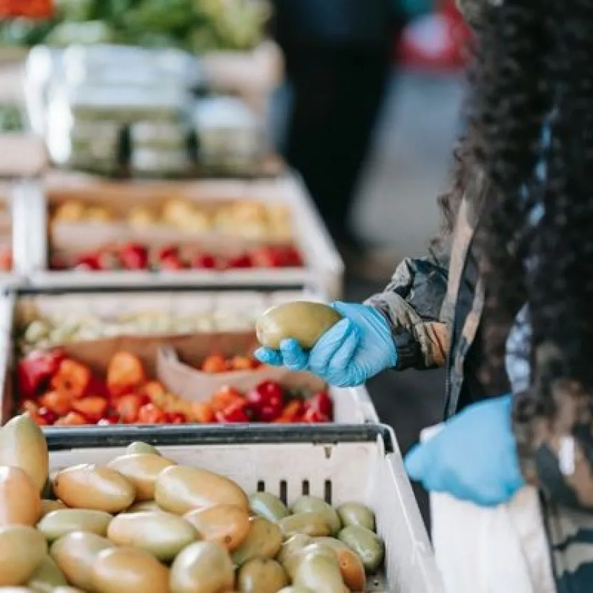 Saiba o que é e como obter a certificação de segurança alimentar HACCP