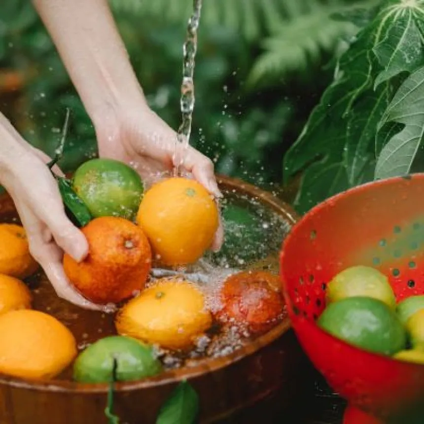 Processo de atestação de insumos: confira um passo a passo completo