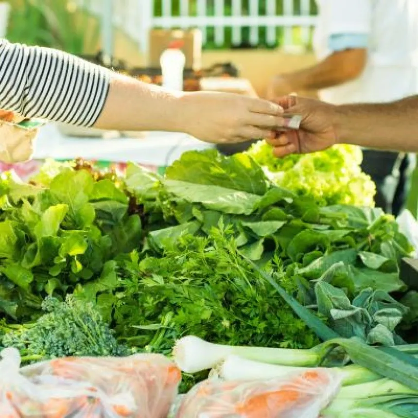 Legislação sobre agricultura orgânica: o que você precisa saber?