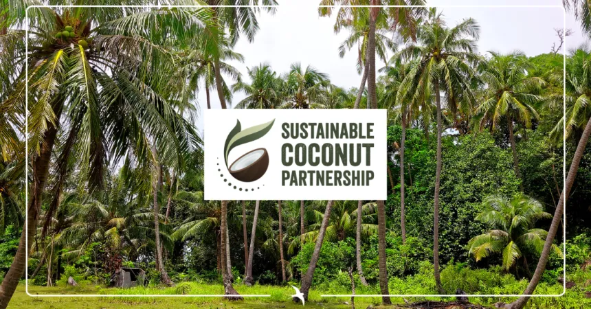 Sustainable Coconut Charter: a new framework to strengthen sustainability and traceability in the coconut industry
