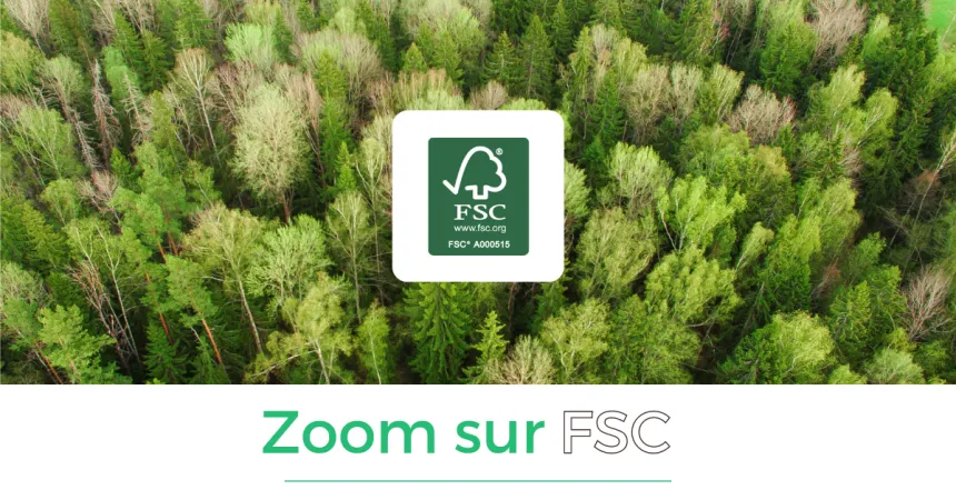 🔎 ZOOM SUR FSC ® – un label pour la Gestion forestière durable